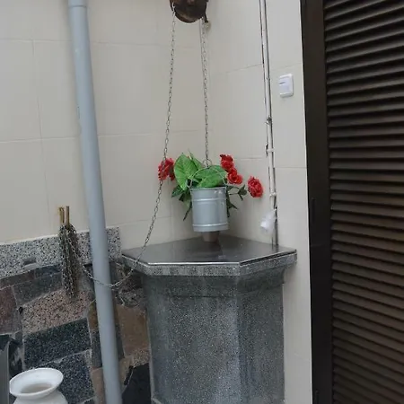 Cas Padrins Nyaraló *